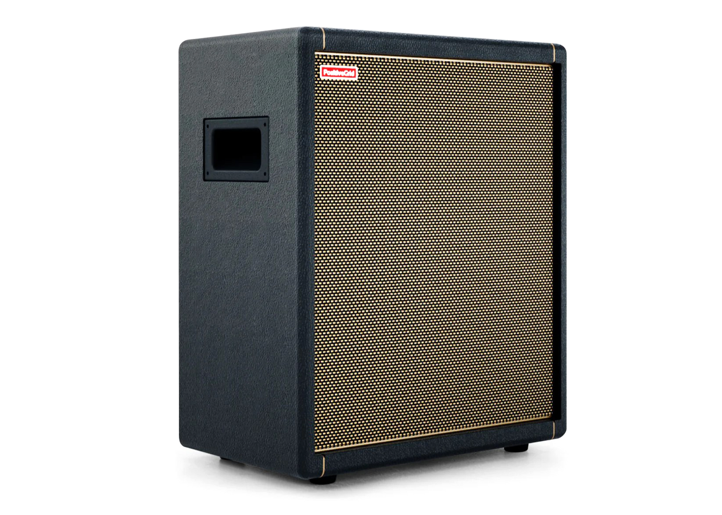 Custom dual-padded GIG BAG for Positive Grid Spark Cab