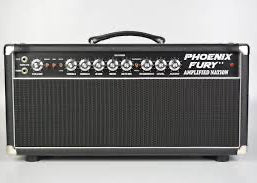 Custom padded cover for Amplified Nation Phoenix Fury Head Amp