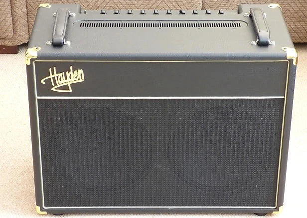 Custom padded cover for HAYDEN Cottom Club 15 / 30 Combo Amp