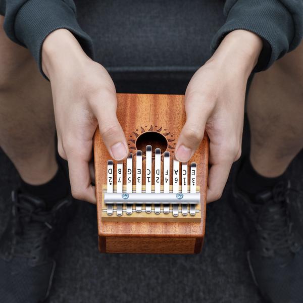 Premium 10 Key Kalimba Thumb Piano Solid Mahogany Body with Accessories