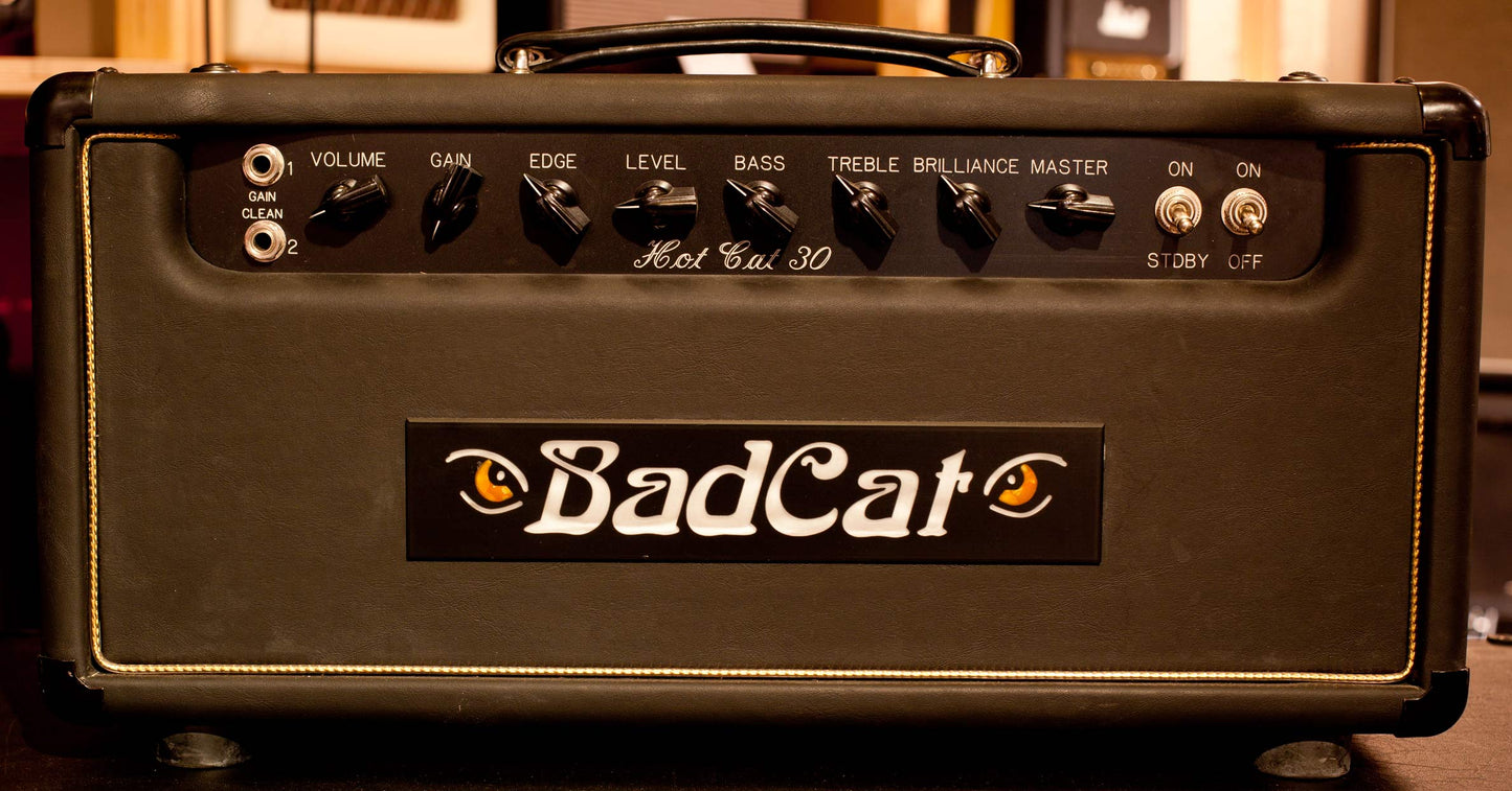Custom padded cover for BAD CAT HOT CAT 30 Head Amp