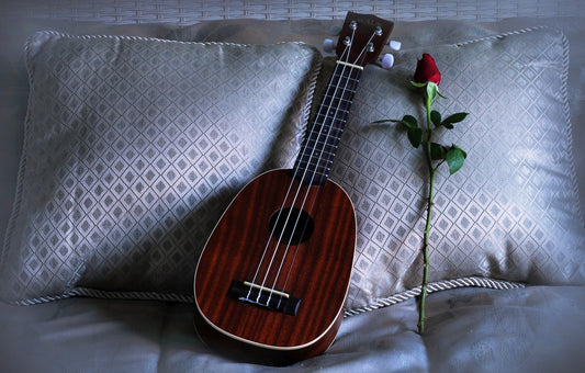 Learn to play ukulele in 15 minutes with the world’s first smart ukulele!