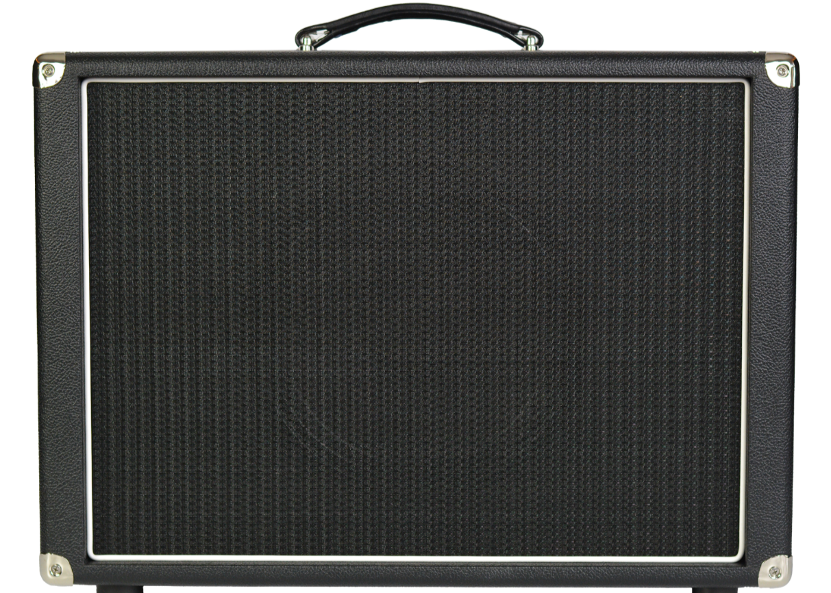 Custom padded cover for Amplified Nation 1x12" Cabinet