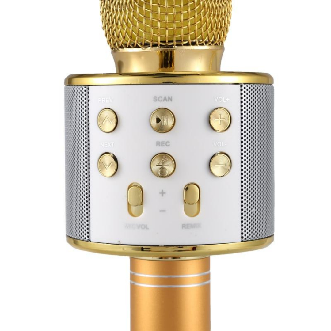 Bluetooth Karaoke Mic Speaker – Custom Amp Covers